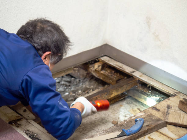 Best Post-Remediation Services in Hudson Falls, NY